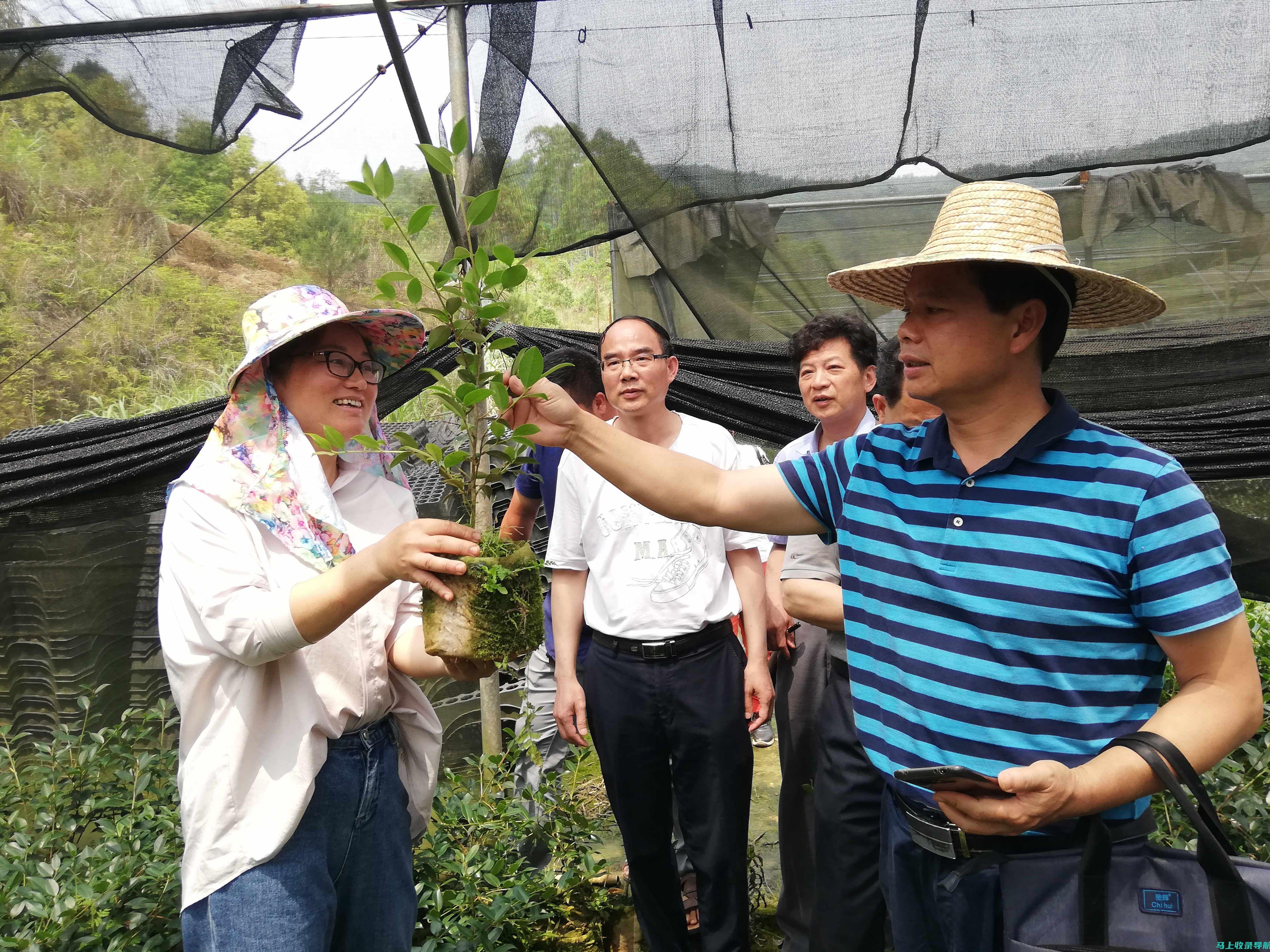 探寻乡镇林业站长的日常工作重点：确保森林资源安全